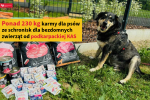 Na zdjęciu pies siedzący na trawie przy zebranej karmie oraz tekst: Ponad 230 kg karmy dla psów ze schronisk dla bezdomnych zwierząt od podkarpackiej KAS. 